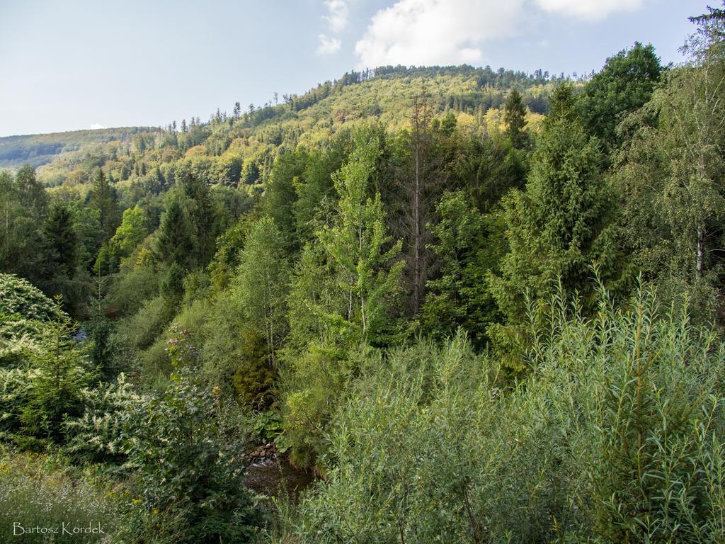 Mala Osada Domki Z Jacuzzi Przy Gondoli Szczyrk Exterior foto